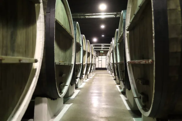 View of big wooden barrels — Stock Photo, Image