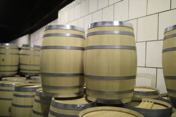 View of new oak barrels — Stock Photo, Image