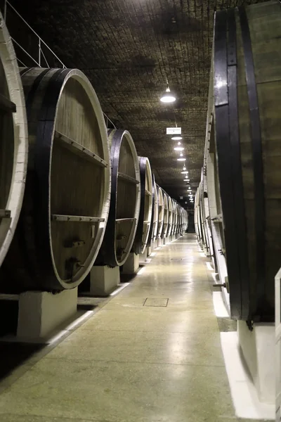 Büyük meşe fıçıların görünümü