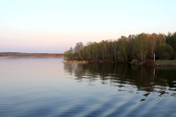 Bosque de abedul a orillas del Volga —  Fotos de Stock