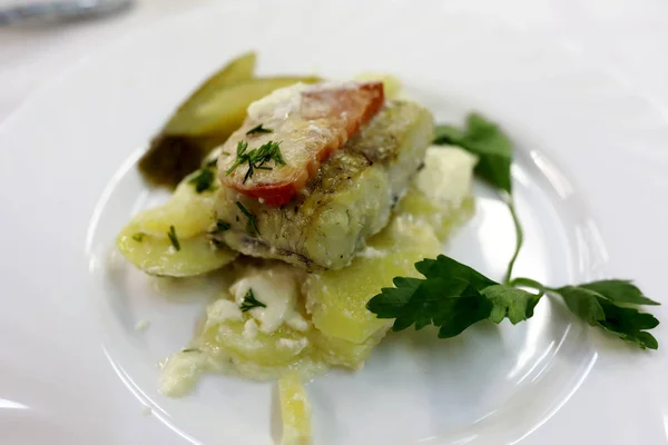 Filete de lucio al horno — Foto de Stock