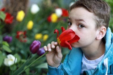 Lale çiçeği koklayan çocuk
