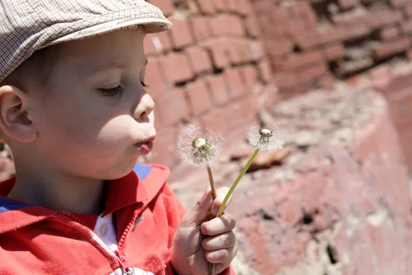 Jongen blazen op paardenbloem — Stockfoto