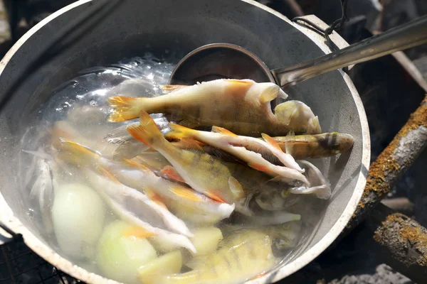 Cozinhar sopa de peixe do rio — Fotografia de Stock