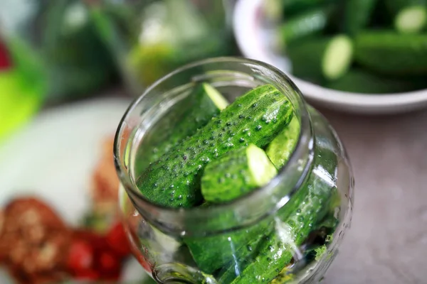 View of pickling cucumbers — Stock Photo, Image
