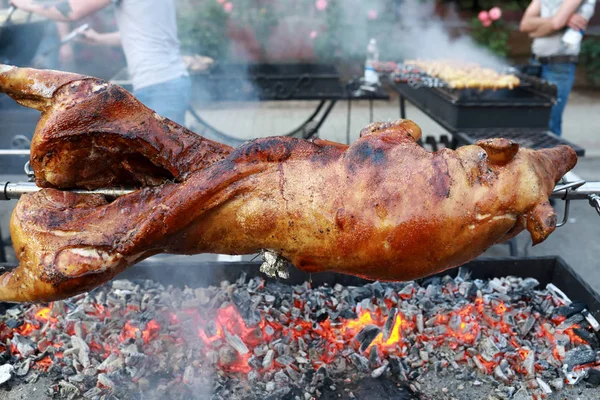 Maialino da cucina allo spiedo — Foto Stock