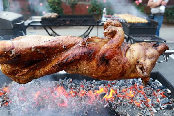 Cocinar jabalí sobre saliva — Foto de Stock