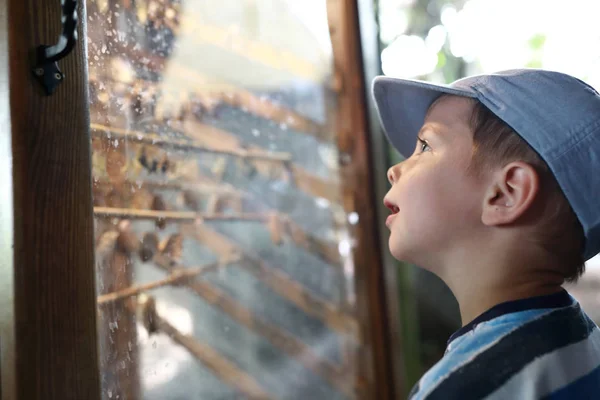 Niño en el zoológico — Foto de Stock