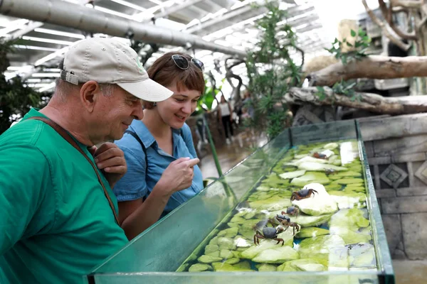 Couple looking at crabs — Stock Photo, Image