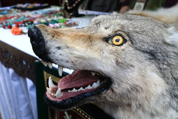 Stuffed wolf head with yellow eyes