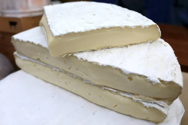 Brie ost cirklar — Stockfoto
