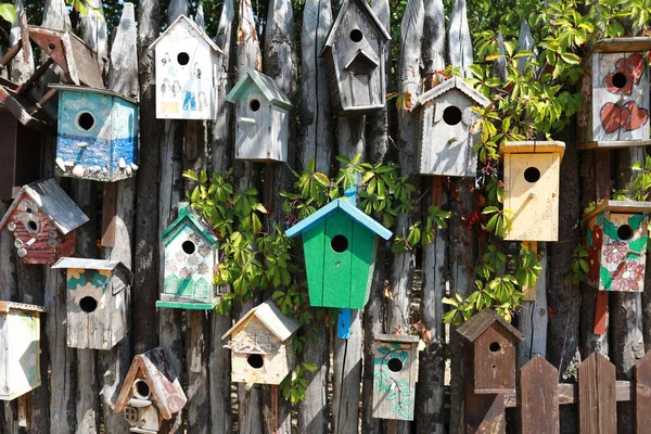 Пташині будинки на дерев'яній стіні — стокове фото