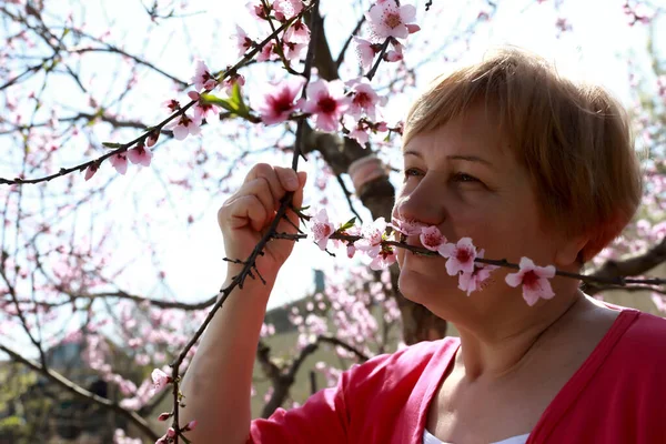 Senior Woman Sniffing Peach Tree Flowers Spring — Stock Photo, Image
