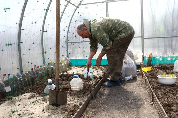 Senior Man Loosening Soil Greenhouse Spring — Stock Photo, Image