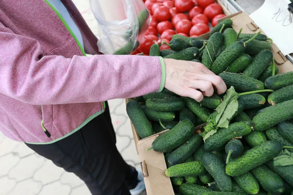 Persoon Kiest Komkommers Markt Rusland — Stockfoto
