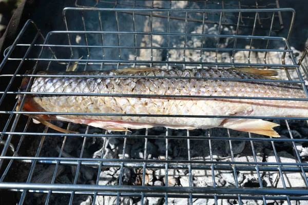 Cooking mullet on the grill on picnic — Stock Image Cooking Mullet Grill Picnic Stock Picture