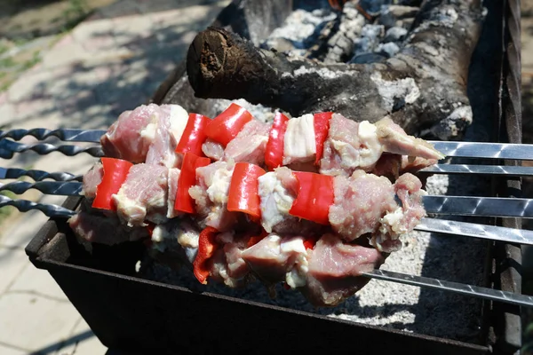 Cuisson Cou Porc Sur Des Brochettes Dans Cour Arrière — Photo