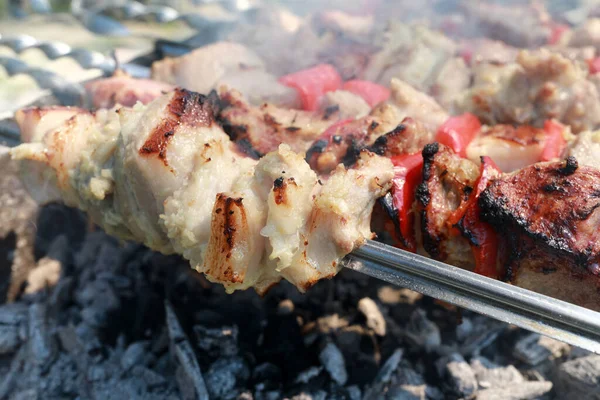 裏庭で串刺しに豚肉の首を焼く — ストック写真