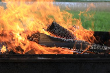 Seliger Gölü kıyısında Brezilya 'da yangın