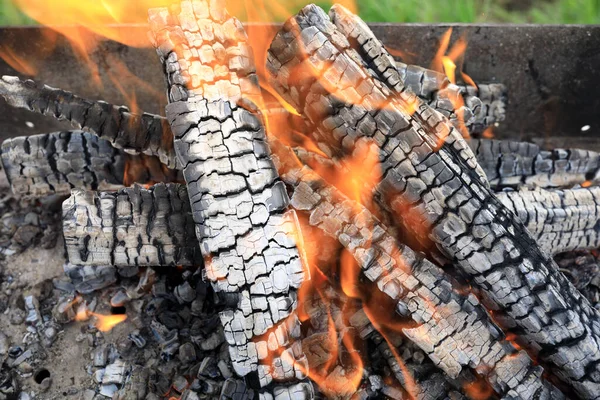 Détails Feu Bois Dans Brasero — Photo