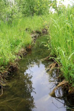 Yazın Seliger Gölü 'nün kıyısındaki kanal.