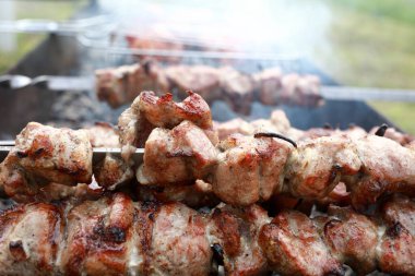 Arka bahçedeki şişler üzerinde marine edilmiş domuz kızartması.