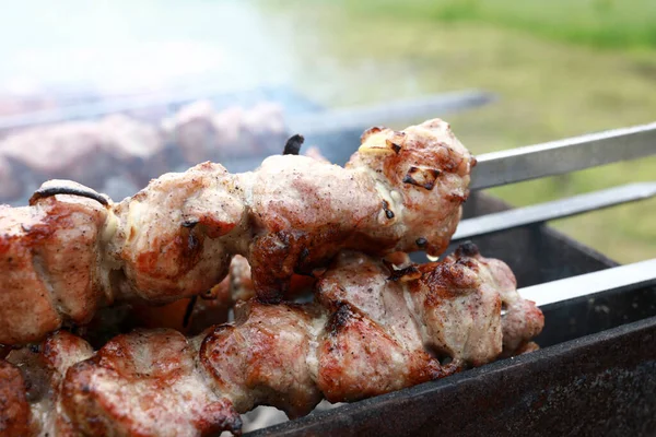 裏庭で串焼きにした豚肉のフライ — ストック写真