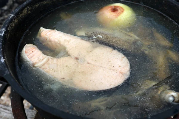 Kotel Lososí Rybí Polévkou Pikniku — Stock fotografie