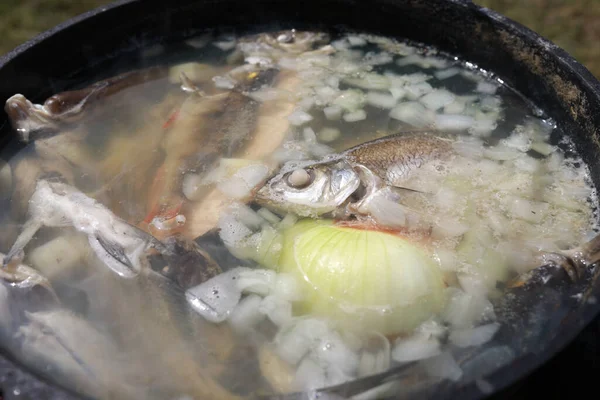 Vista Caldeirão Com Sopa Peixe Russo Piquenique — Fotografia de Stock