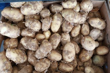 Pazarda taze patatesle dolu bir kutu.