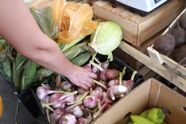 Personne Prenant Ail Sur Marché Russie — Photo