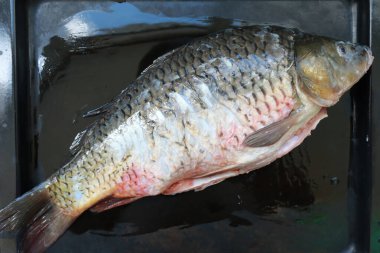 Mutfakta çarşaf üzerinde taze sazan balığı