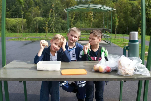 Porträtt Barn Picknick Parken — Stockfoto