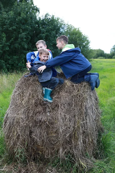 Three Boys Playing Stack Straw Summer — Stock Photo, Image
