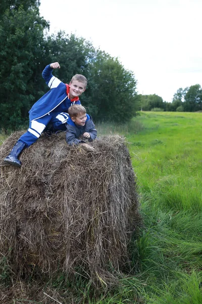 Two Boys Playing Stack Straw Summer — Stock Photo, Image