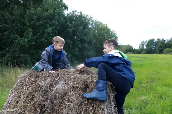 Two Brothers Playing Stack Straw Summer — Stock Photo, Image