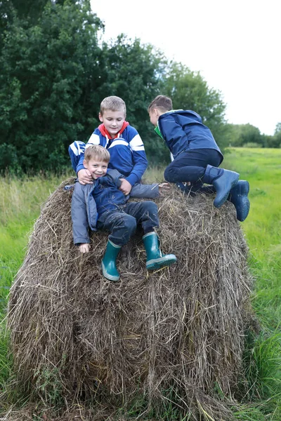 Three Brothers Playing Stack Straw Summer Stock Image