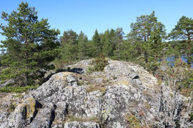 Ladoga Skerries, Karelia 'daki Taş Ada Manzarası