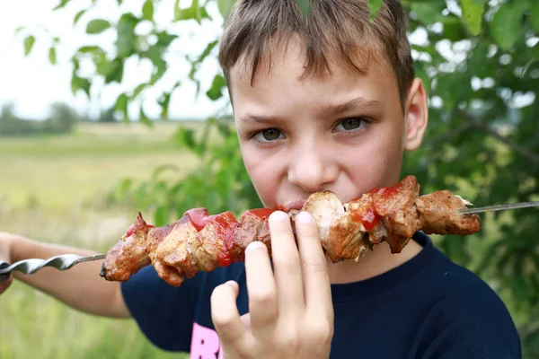 Niño Comiendo Kebab Cuello Cerdo Picnic — Foto de Stock