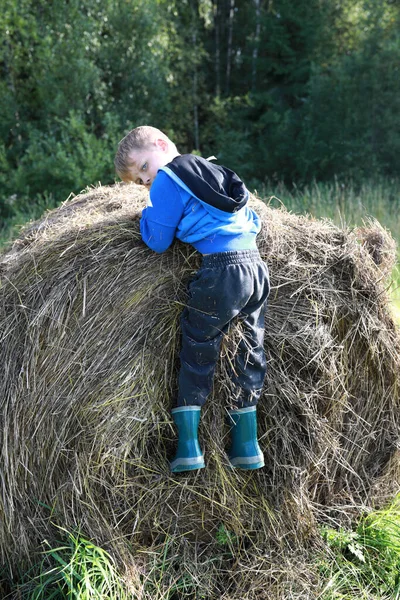 Chłopiec Wspinający Się Stos Słomy Karelia — Zdjęcie stockowe