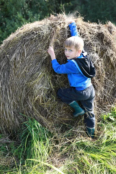 卡累利娅 小孩爬到稻草堆上 — 图库照片