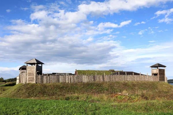 Palisade Viking Köy Kulelerinin Manzarası Karelia — Stok fotoğraf