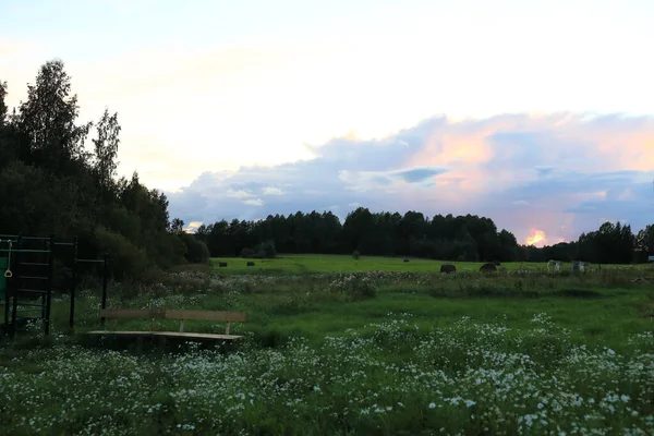 View Field Late Evening Karelia — Stock Photo, Image