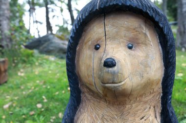 Parktaki ahşap kirpi manzarası, Karelia