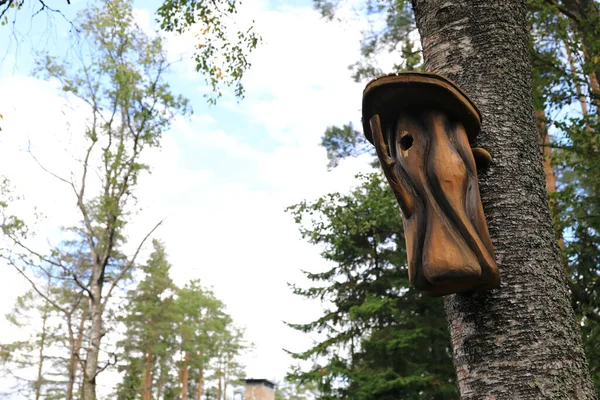 Utsikt Över Fågelhus Träd Karelen — Stockfoto