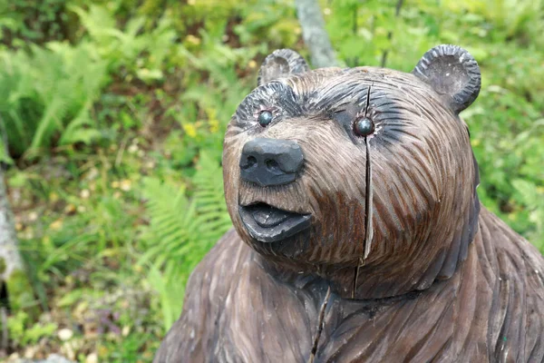 Вид Деревянного Медведя Парке Карелия — стоковое фото