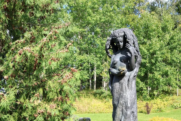 View Tree Monument Park Karelia — Stock Photo, Image