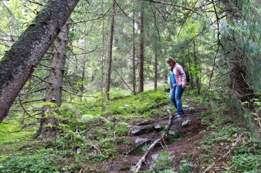 Çam ormanlarında yürüyen kadın, Rusya, Karelia