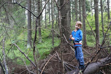 Çam ormanındaki çocuk portresi, Karelia.