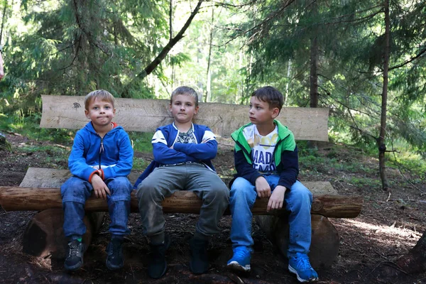 Дети Отдыхают Скамейке Сосновом Лесу Карелия — стоковое фото